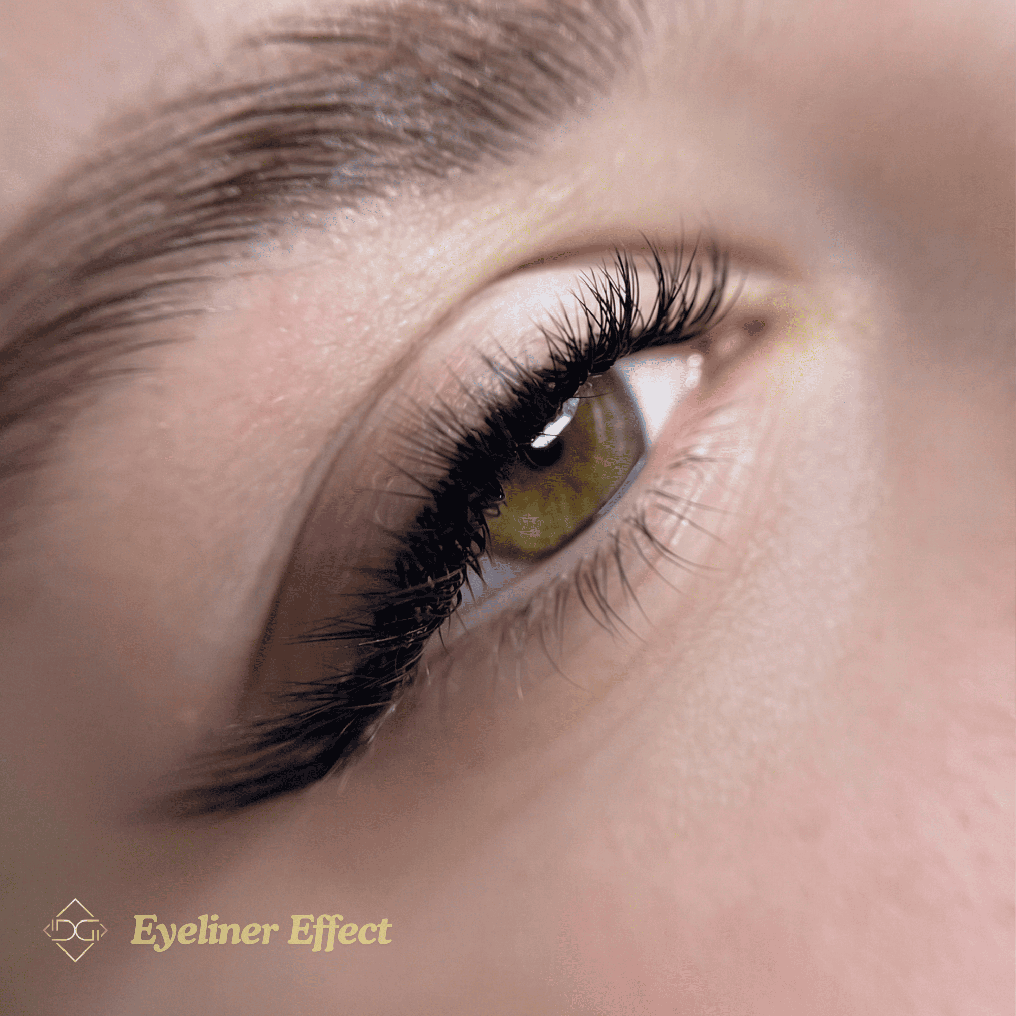 Model extensii gene 3 Eyeliner