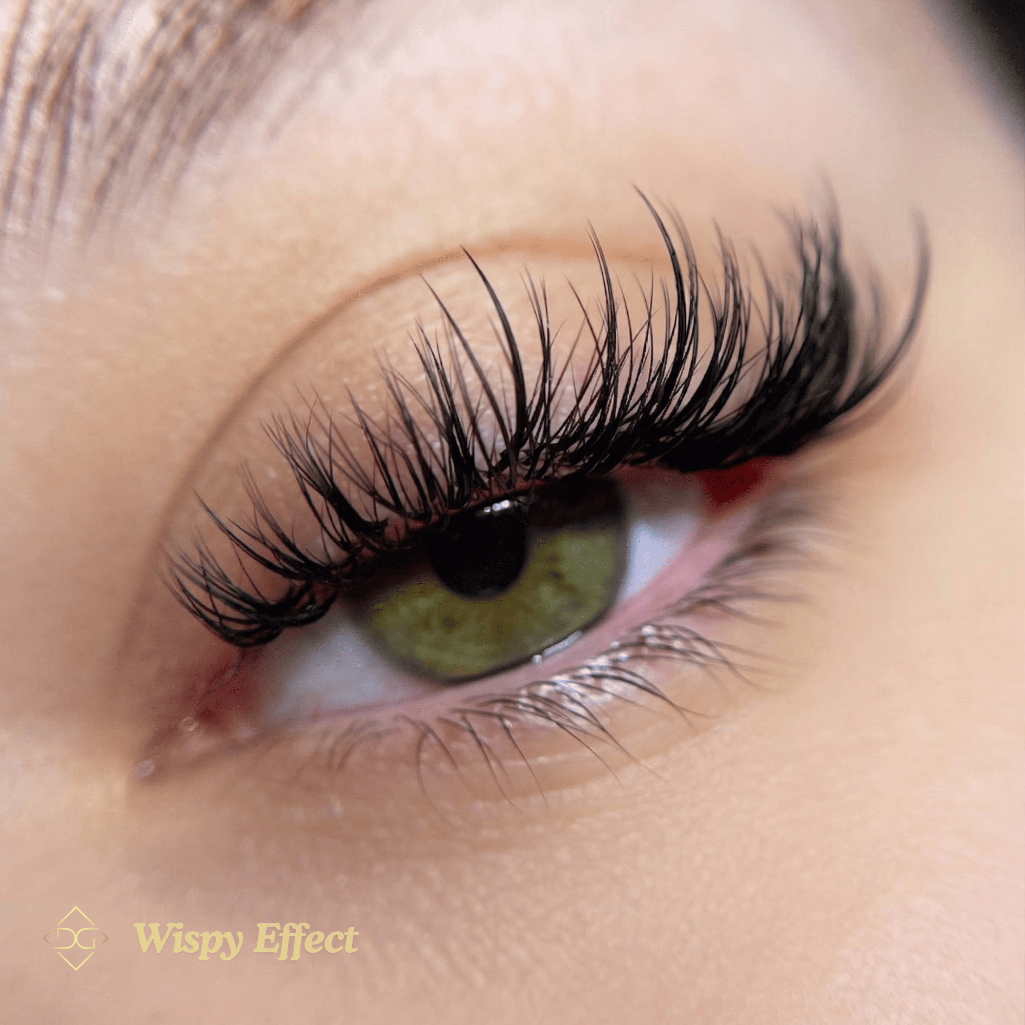 Model extensii gene Wispy